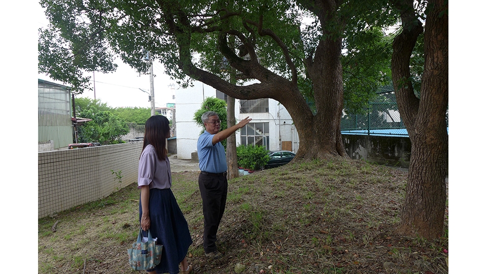 張德盛課長表示，營運處 現址旁的新竹變電所與周 圍的樹木，其歷史可追溯 至民國12年的日治時期。